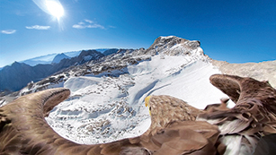 Alpine Eagle Race