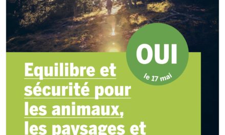 Flyer de campagne pour un oui le 17 mai