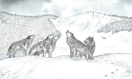 1894, BATTUE AUX LOUPS  DANS  LE JURA VAUDOIS