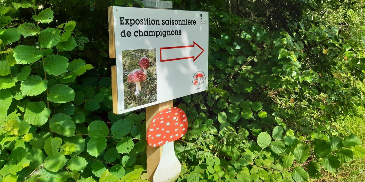 MYCOLOGIE