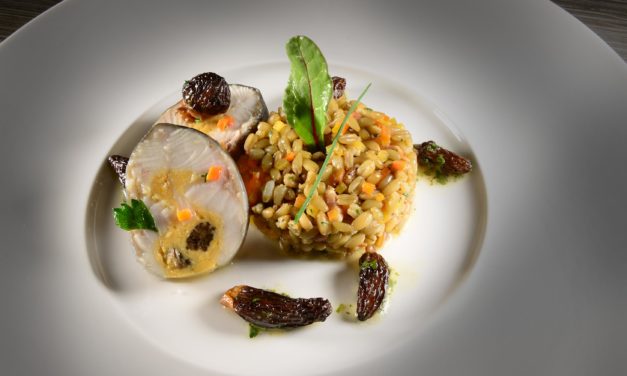 GALANTINE DE TRUITE AU SAFRAN DU MUND ET AUX MORILLES, SALADE D’ÉPEAUTRE DU VALAIS