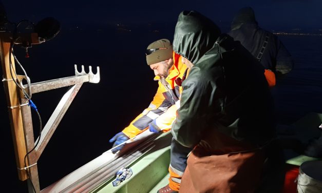 LE COUP DE POUCE AUX OMBLES DU LÉMAN