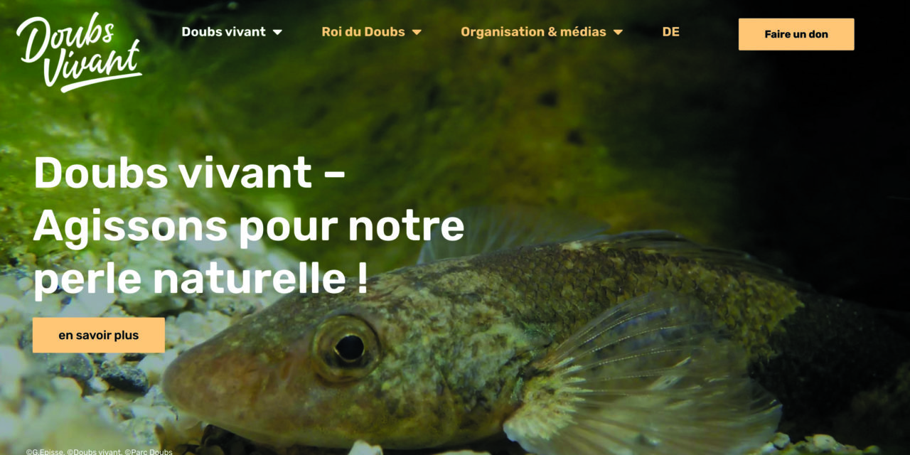 RIVIÈRE