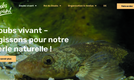 RIVIÈRE