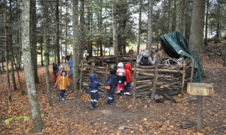 « EXPLIQUONS LA FORÊT AUX ENFANTS : ILS ADORENT ÇA ! »