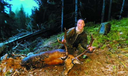 ALBERT SALAMIN OU LA PASSION DU CERF