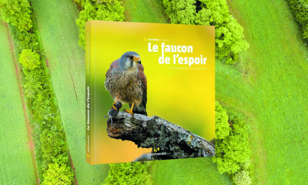 LIVRE