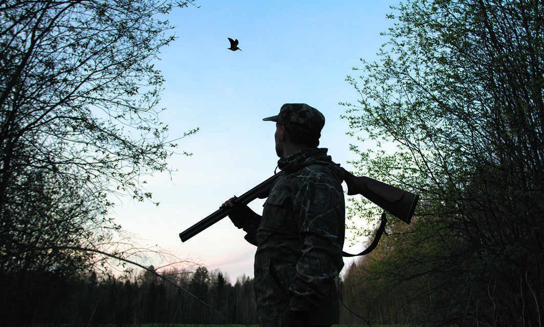 FIN  DE  LA CHASSE  DU  PETIT GIBIER  SUR VAUD ?