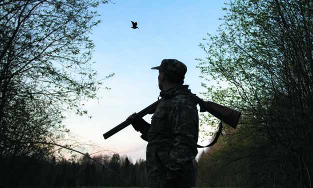 FIN  DE  LA CHASSE  DU  PETIT GIBIER  SUR VAUD ?