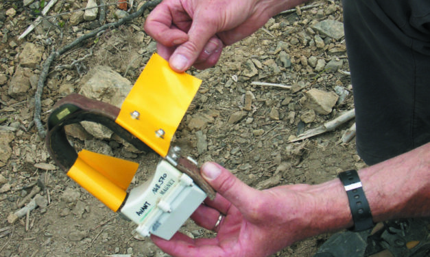CHAMOIS, GPS  ET ADN