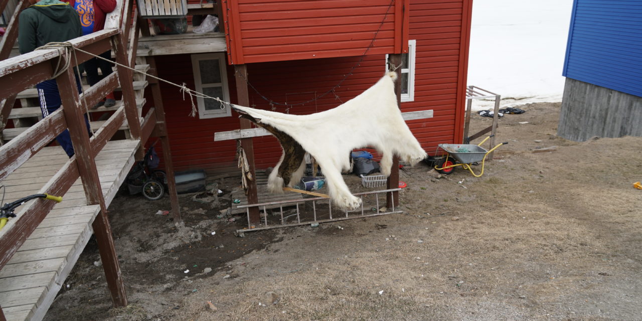 ARCTIQUE