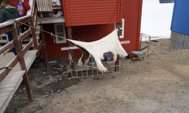 ARCTIQUE