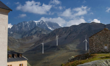 FAUNE ET ÉNERGIE