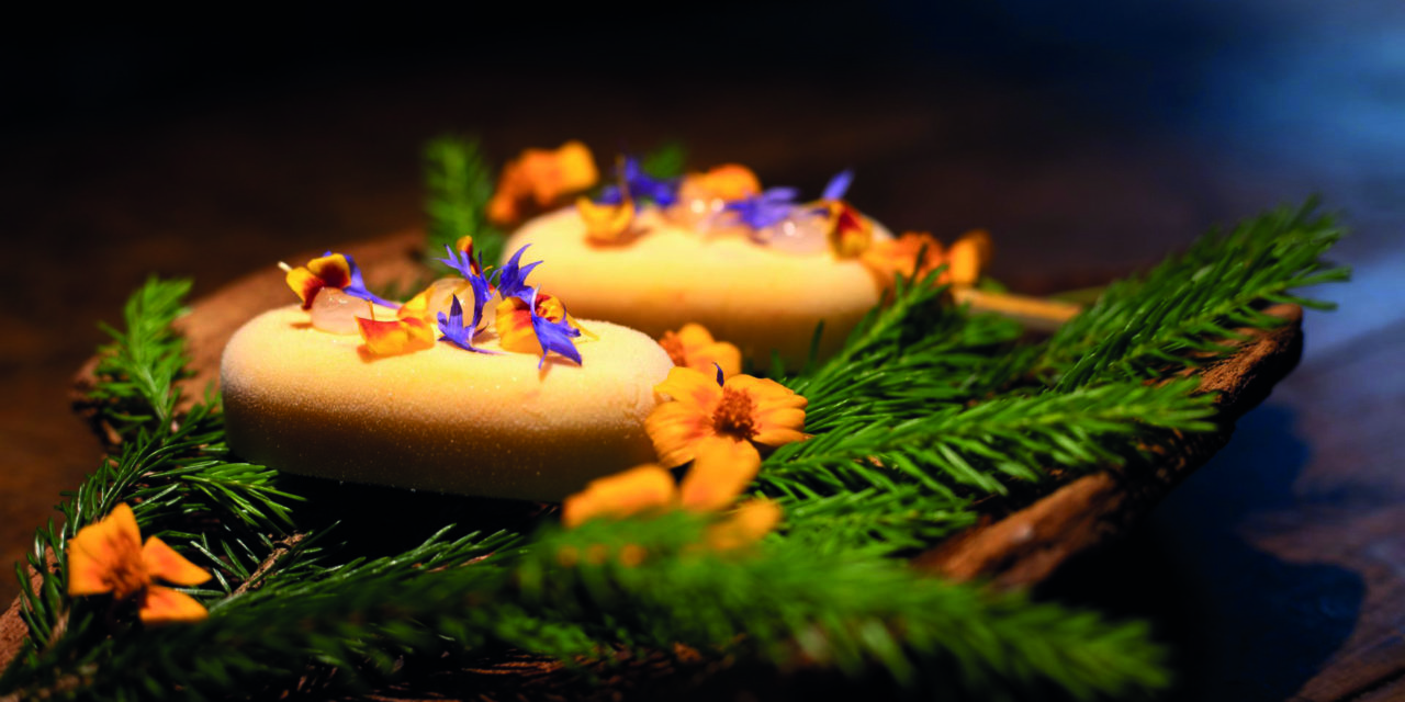 GLACE INSPIRÉE DE LA FORÊT DU JORAT SAFRAN DE VUILLENS ET SAPIN DE NOS BOIS