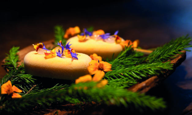 GLACE  INSPIRÉE  DE  LA FORÊT DU JORAT  SAFRAN  DE VUILLENS  ET SAPIN  DE  NOS  BOIS