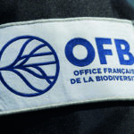 PROCÈS  EN VUE