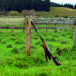 LES RÉDUCTEURS DE SON