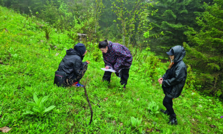 NOUVELLE  ÉTAPE  POUR NATURE & AVENTURES