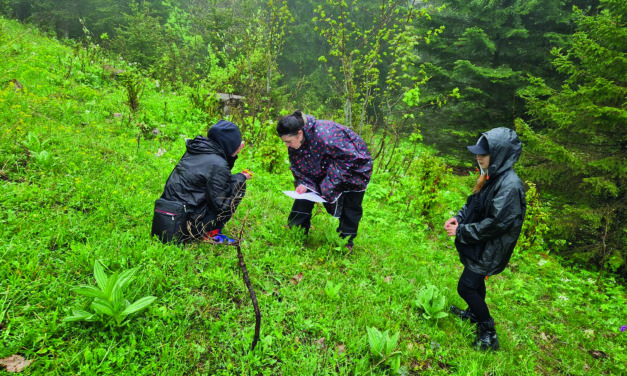 NOUVELLE  ÉTAPE  POUR NATURE & AVENTURES