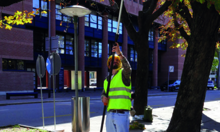 LES OISEAUX CONTRIBUENT À LA LUTTE  CONTRE  LES  RAVAGEURS