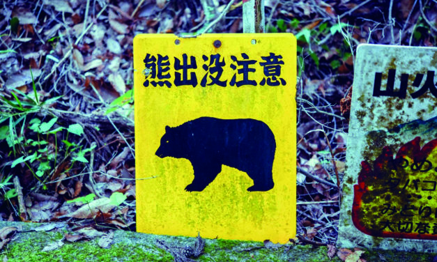 CRISE DES OURS