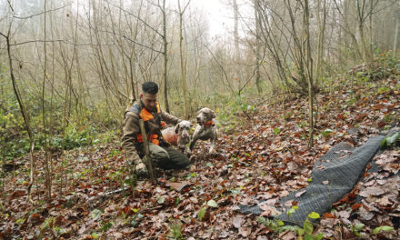 À la bécasse avec José Carrillo