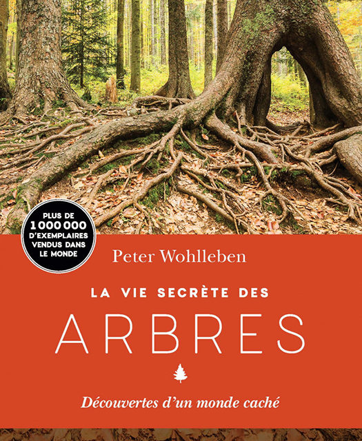 Après l’animalisme, «l’arbrisme»