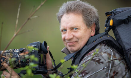 Les photographes animaliers aussi se piquent d’éthique
