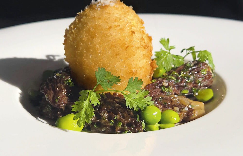 Bel œuf fermier croustillant et morilles étuvées au Pinot gris