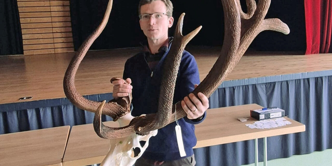 Bientôt des cerfs à 240 points ?