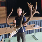 Bientôt des cerfs à 240 points ?