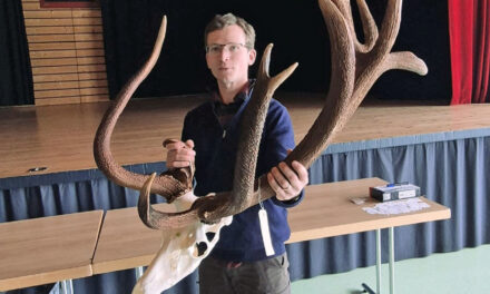 Bientôt des cerfs à 240 points ?