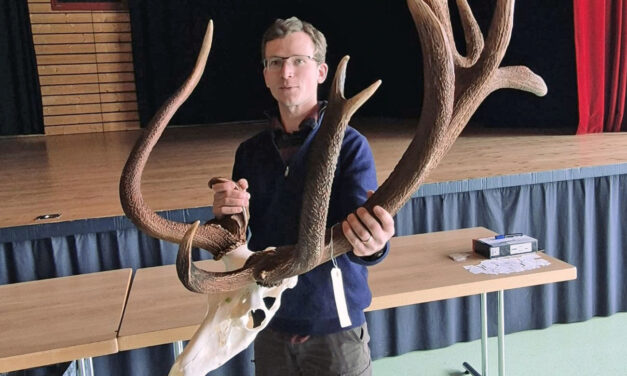 Bientôt des cerfs à 240 points ?
