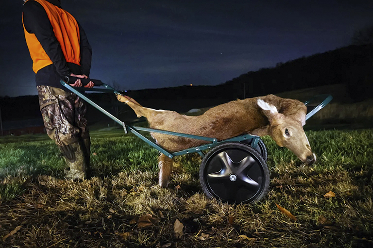 Les équipements de transport du gibier